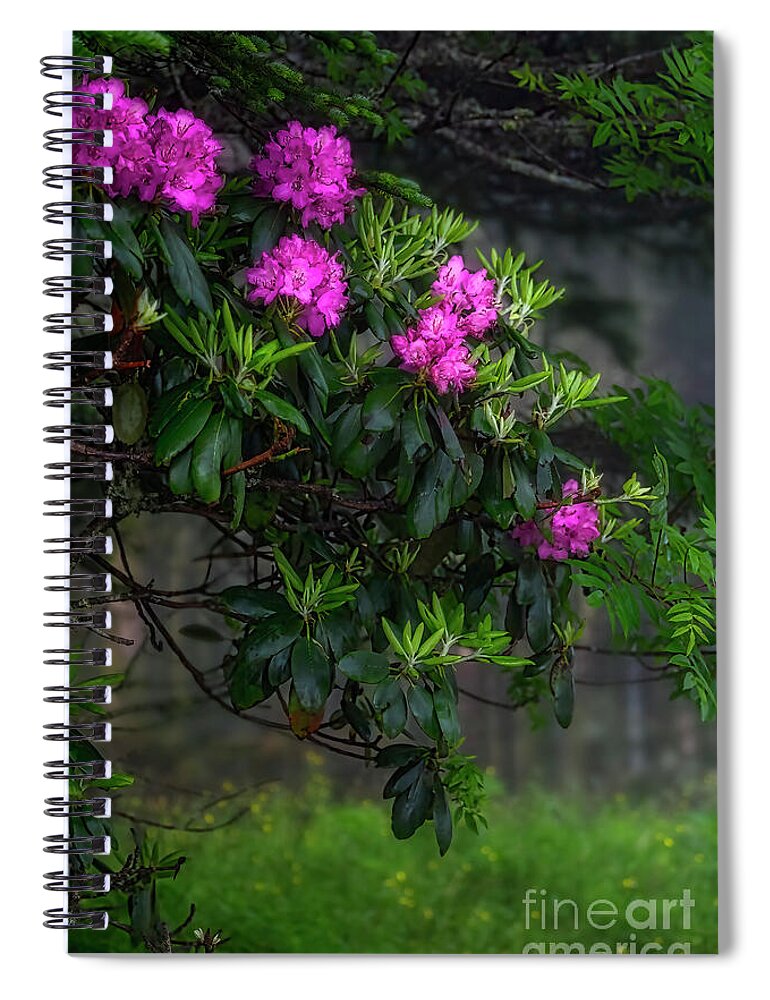 Rhododendron Spiral Notebook featuring the photograph The Beauty of Roan Mountain by Shelia Hunt