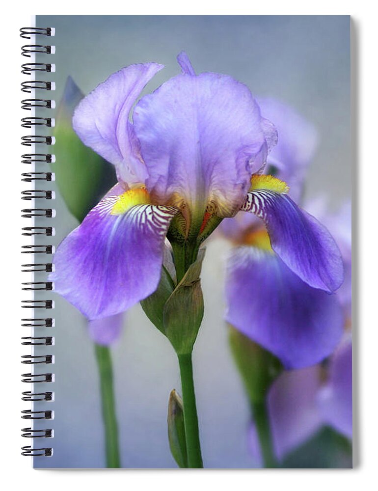 Bearded Iris Spiral Notebook featuring the photograph The Beauty of the Iris by David and Carol Kelly