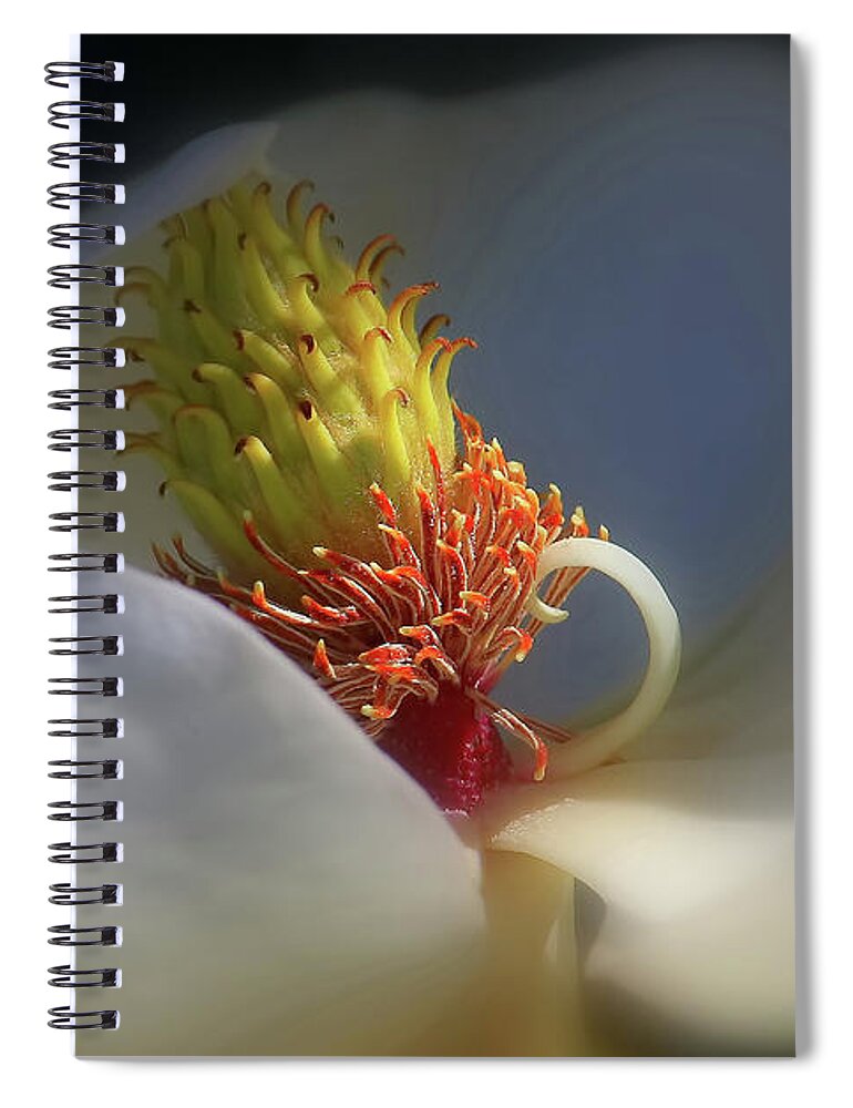 Magnolia Spiral Notebook featuring the photograph The Beauty Within by HH Photography of Florida