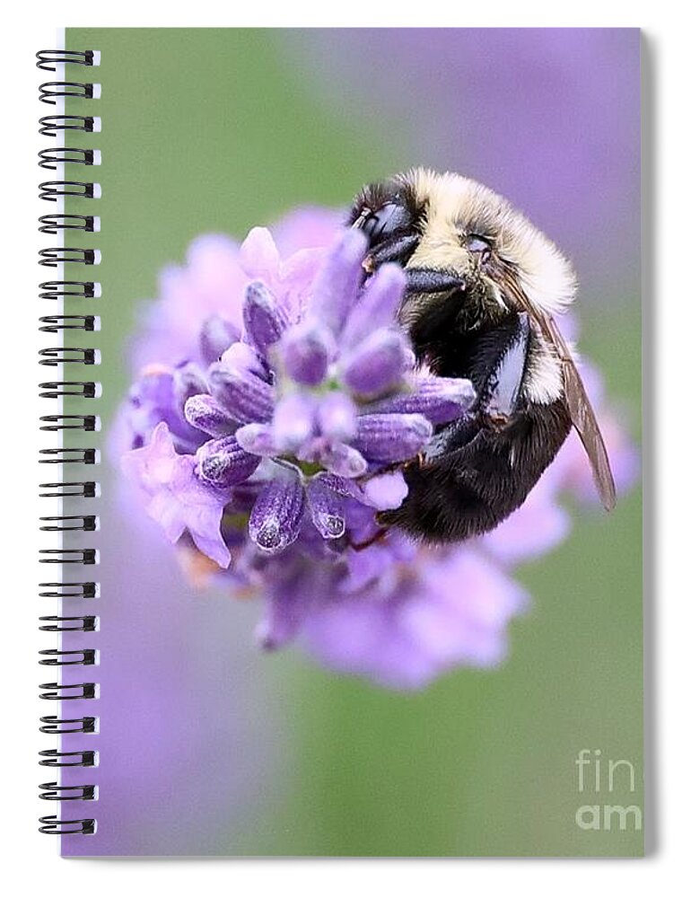 Bee Spiral Notebook featuring the photograph The Bee's Knees by Lori Lafargue