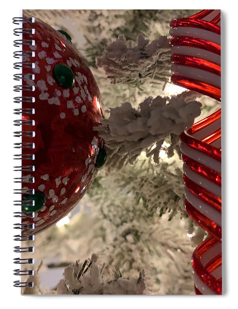 Merry Christmas Spiral Notebook featuring the photograph The Best Time of Year by Lee Darnell