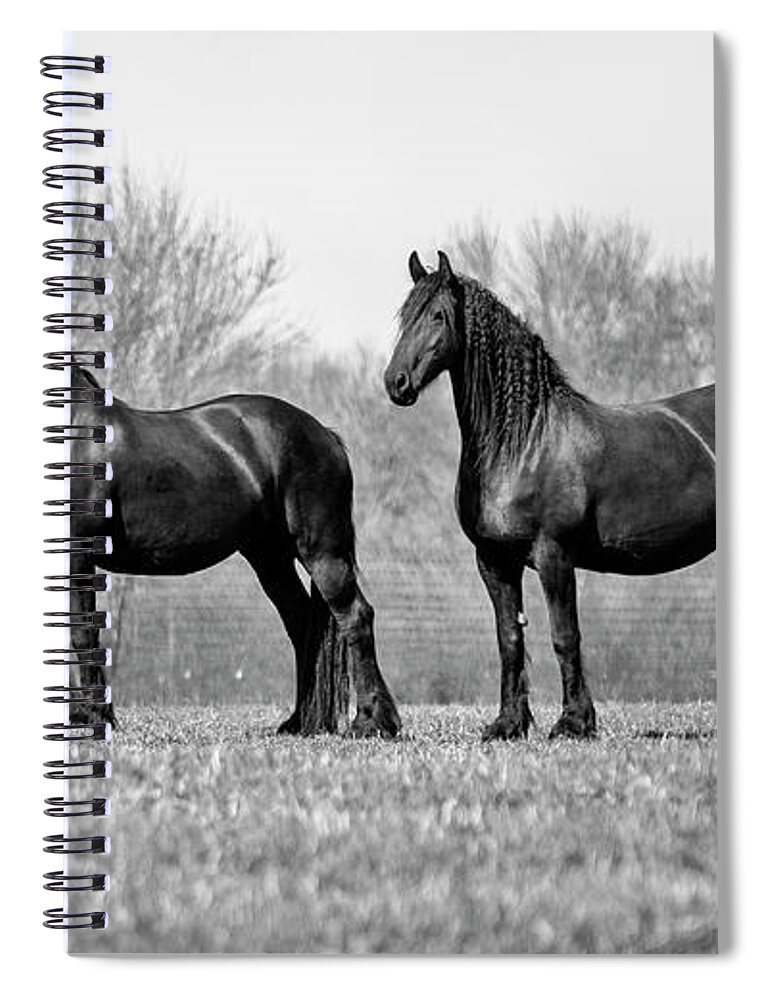 Friesian Spiral Notebook featuring the photograph The Big Girls by Lori Ann Thwing