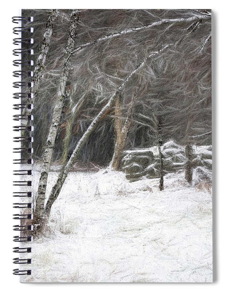 Birch Spiral Notebook featuring the photograph The Birches of Orris Road by Wayne King