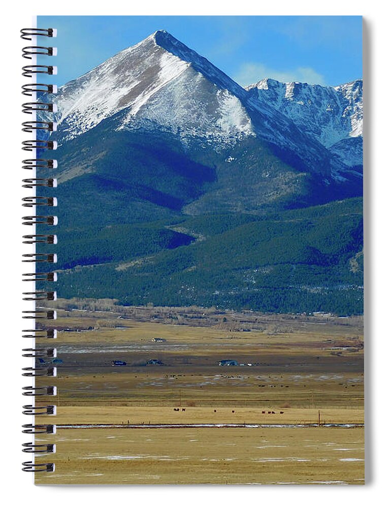 Dan Miller Spiral Notebook featuring the photograph The Black Cow by Dan Miller
