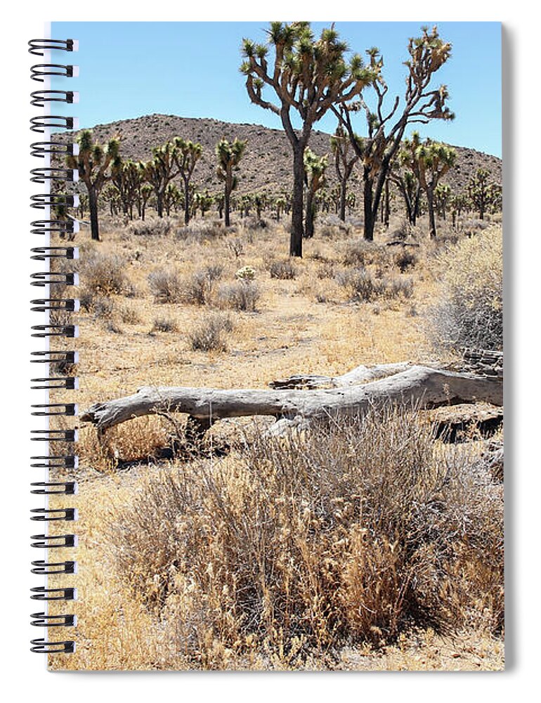 Trees Spiral Notebook featuring the photograph The Bones of a Joshua Tree by Robert Carter