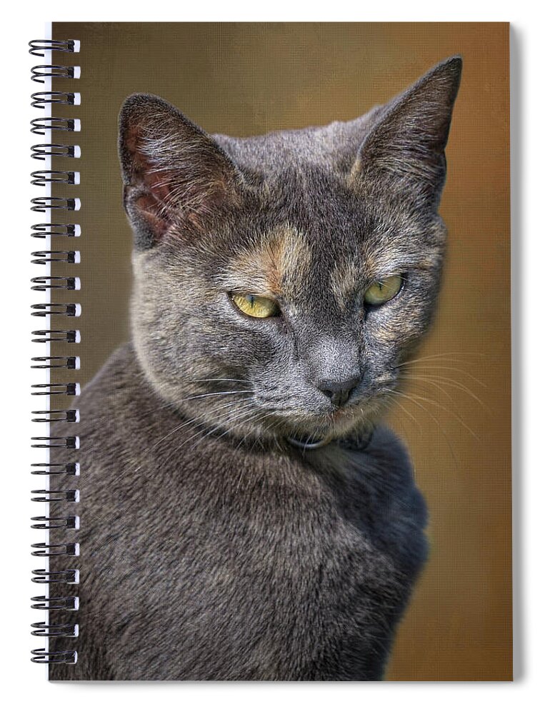 Cats Spiral Notebook featuring the photograph The Boss - Cat by Nikolyn McDonald