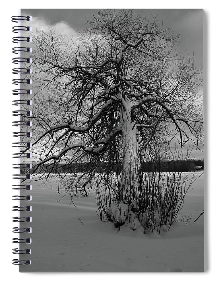 Snow Spiral Notebook featuring the photograph The calm after the storm by Carl Marceau