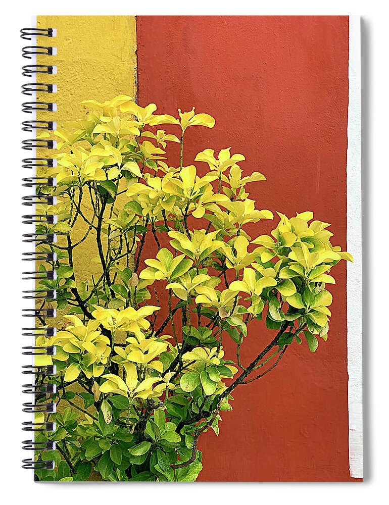 Obidos Spiral Notebook featuring the photograph The Colors of Obidos by Jill Love