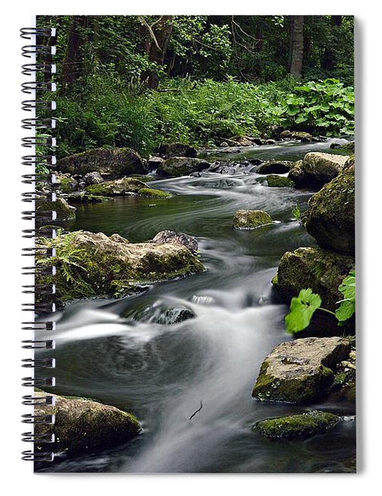 Wasser Spiral Notebook featuring the photograph The Creek by Thomas Schroeder