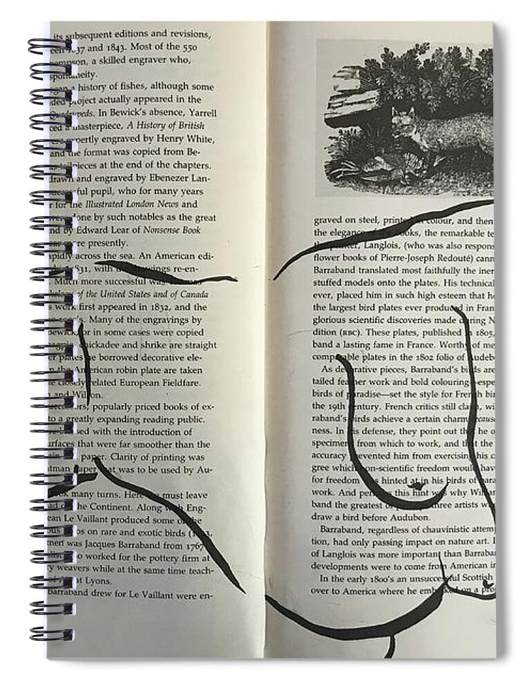 Life Drawing Spiral Notebook featuring the drawing The Cur Fox by M Bellavia
