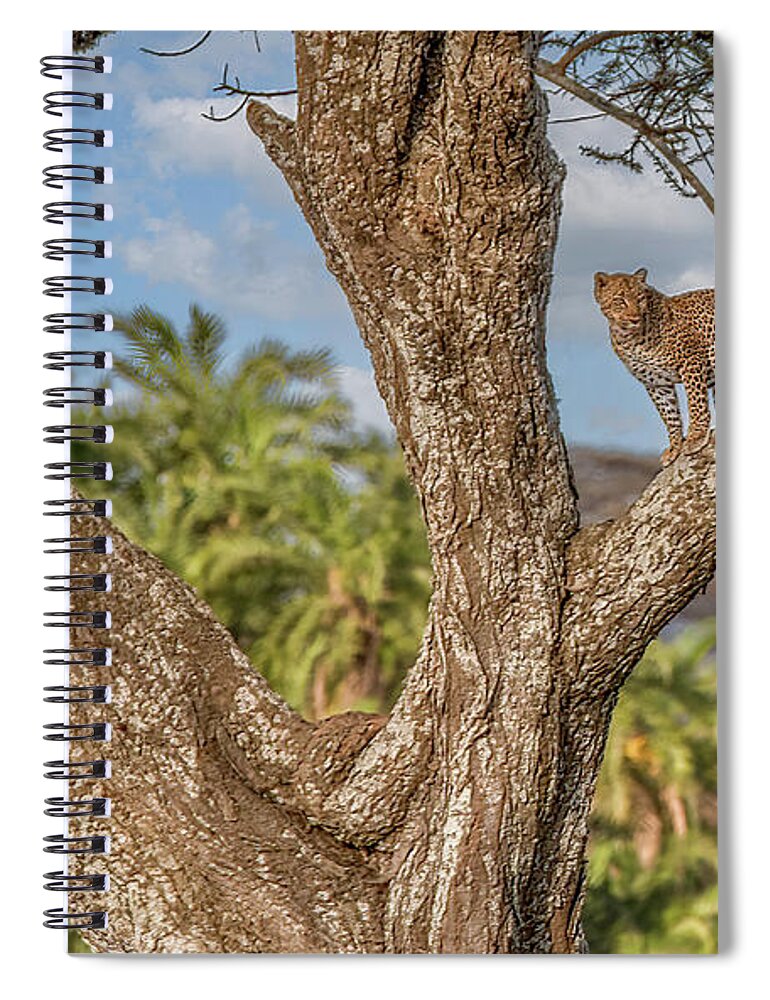  Spiral Notebook featuring the photograph The Cycle of Life, Serengeti National Park by Marcy Wielfaert