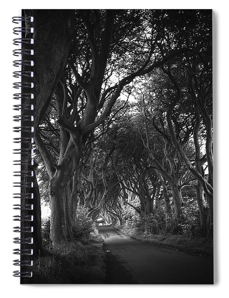 Tree Spiral Notebook featuring the photograph The dark hedges G.O.T #1 by Joelle Philibert