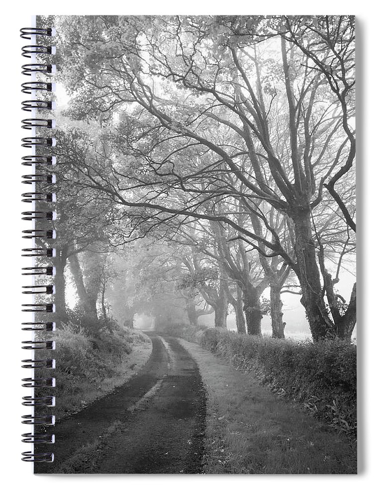 Misty Spiral Notebook featuring the photograph The Dark Misty Hedges by Mark Callanan