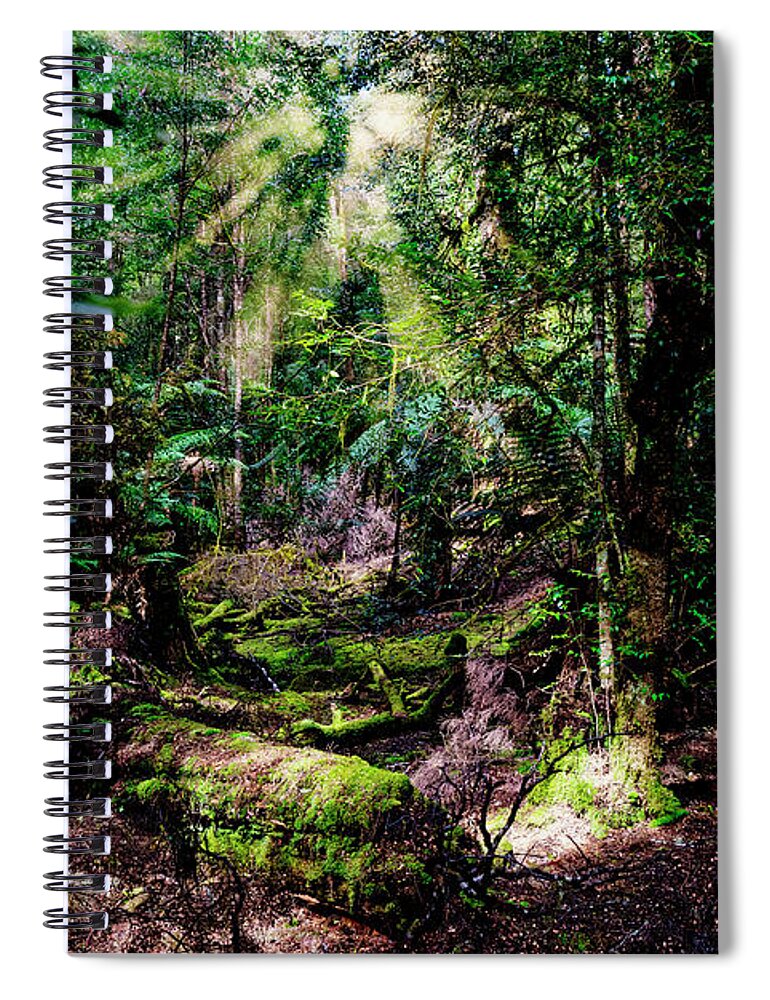 Rainforest Spiral Notebook featuring the photograph The Enchanted Forest by Frank Lee