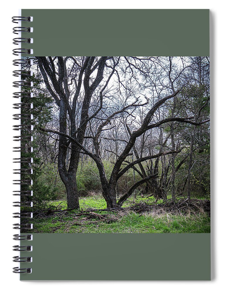 Trees Spiral Notebook featuring the photograph The End of the Road by Ron Long Ltd Photography