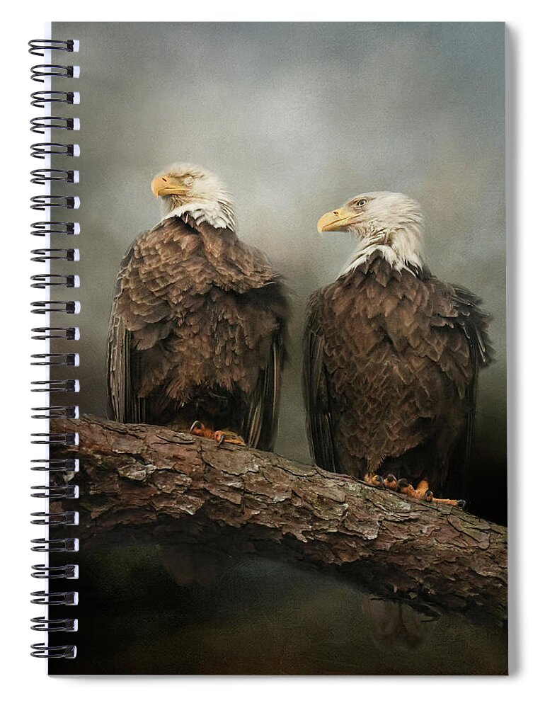 Bald Eagles Spiral Notebook featuring the photograph The End Of The Storm by Jai Johnson