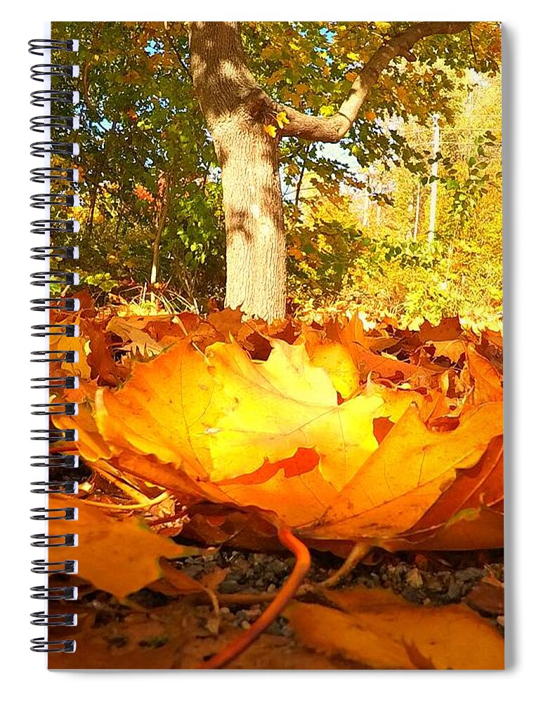 Autumn Spiral Notebook featuring the photograph The Fallen Leaves by Shreya Sen