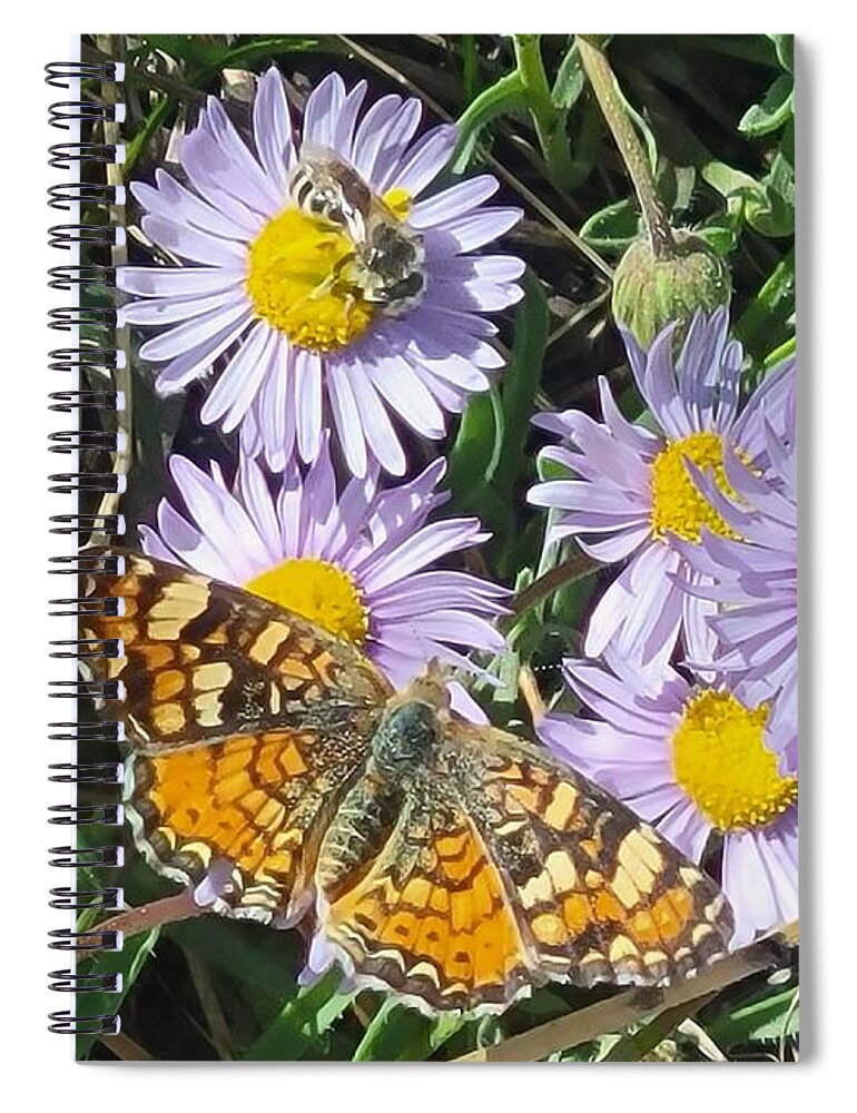 The Feast Spiral Notebook featuring the photograph The Feast by Jennifer Forsyth