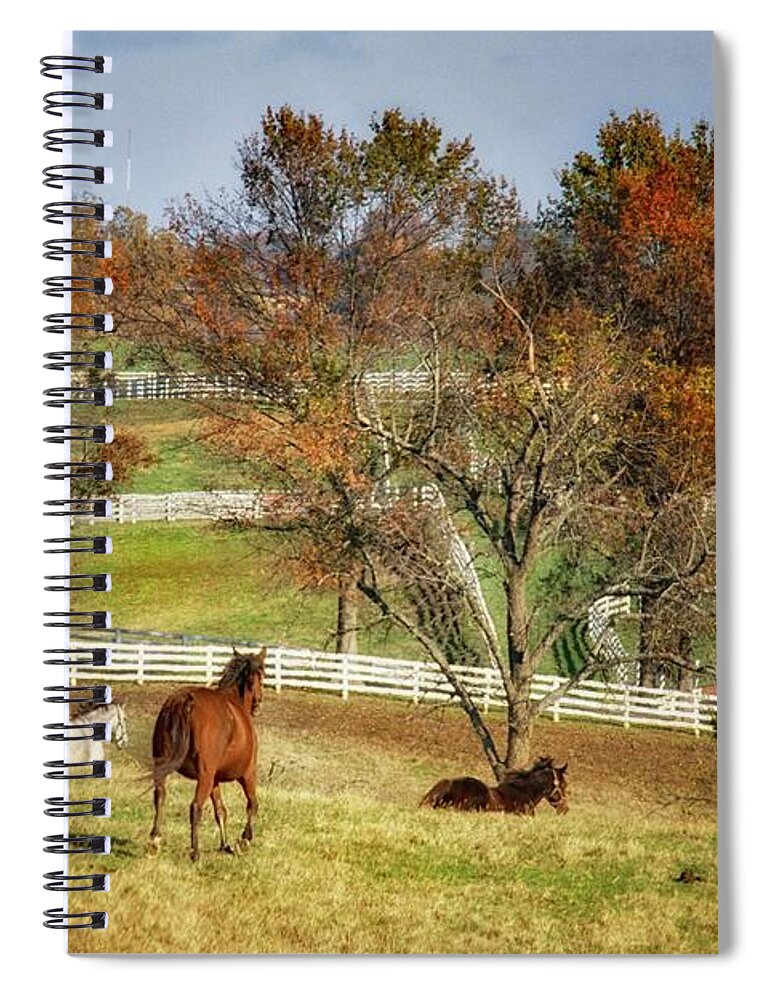 Fences Spiral Notebook featuring the photograph The Fences by Jolynn Reed