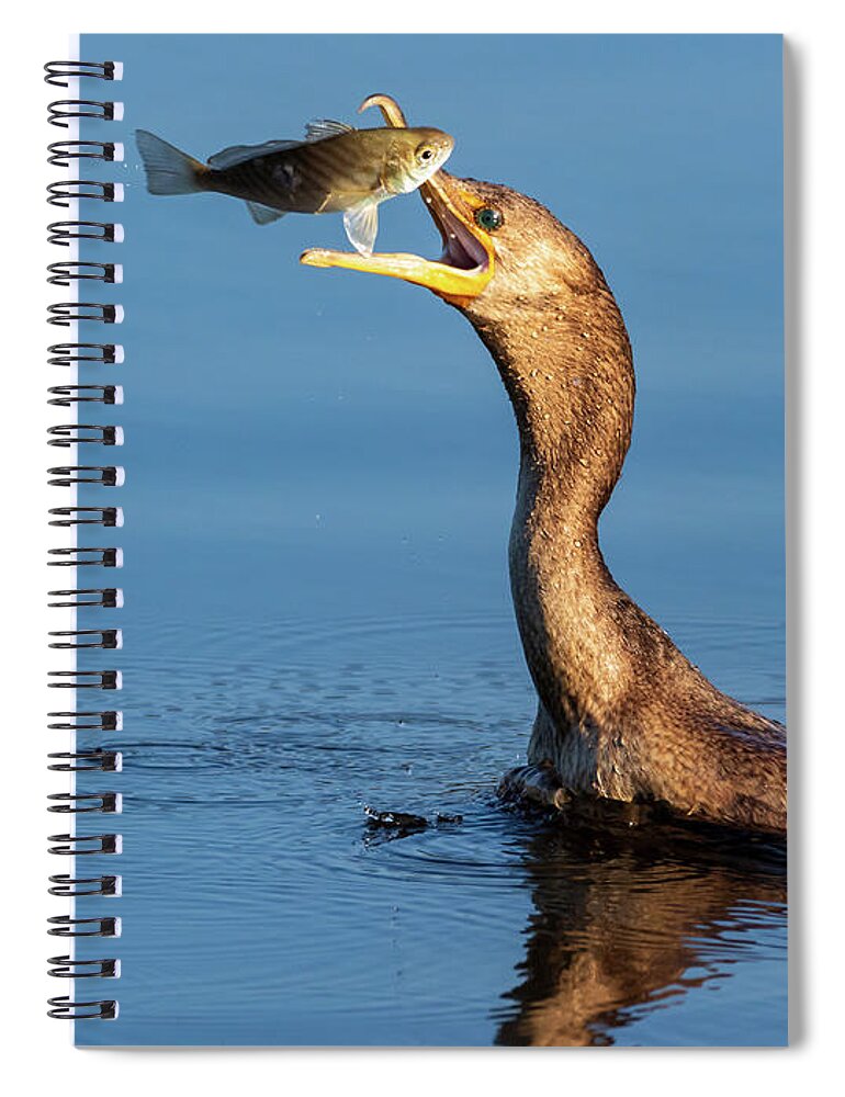 Donnelley Wma Spiral Notebook featuring the photograph The Flip by Jim Miller