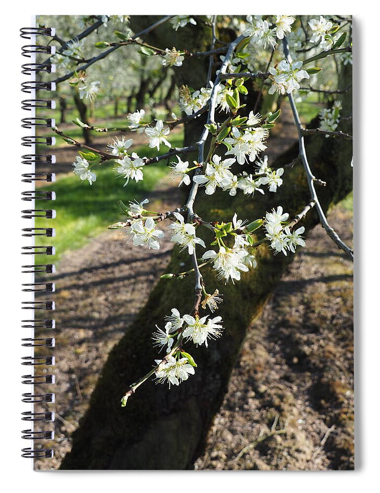 Plums Spiral Notebook featuring the photograph The Fragile Nature of Farming by Leslie Struxness