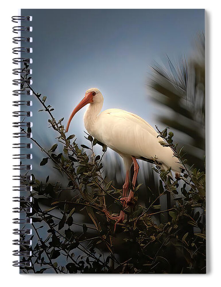 Birds Spiral Notebook featuring the photograph The Gathering by Larry Marshall