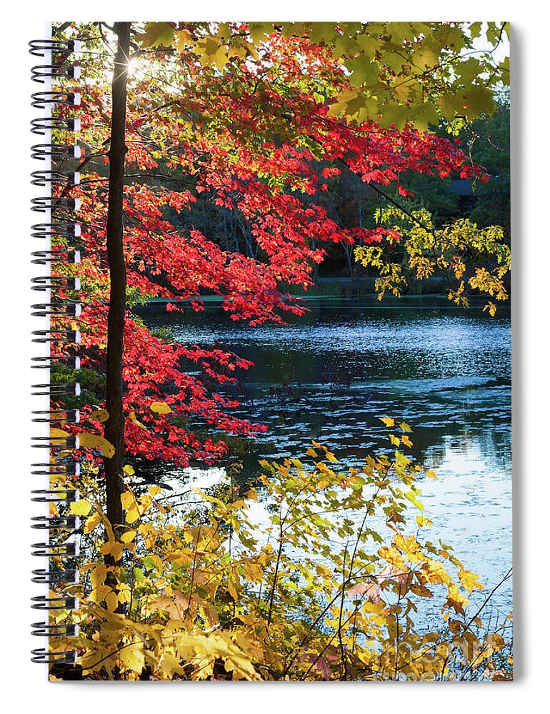 Fall Foliage Spiral Notebook featuring the photograph The Glory of a New England Autumn by Anita Pollak