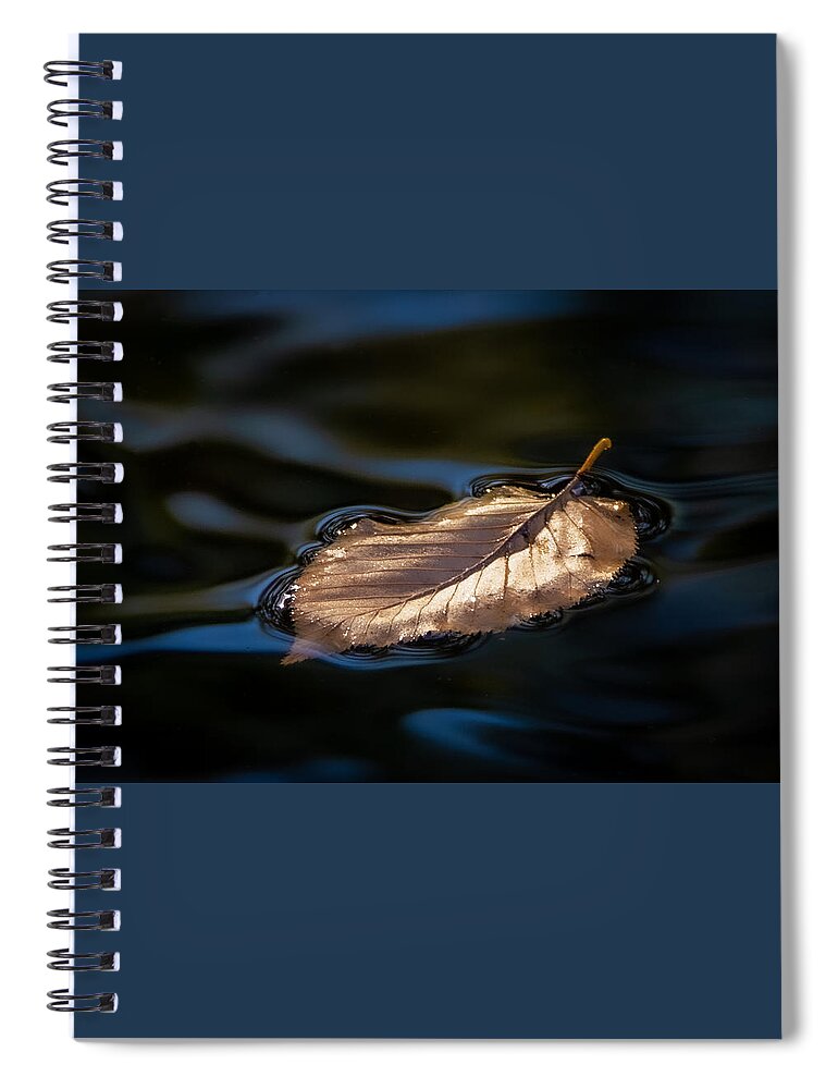 Gold Spiral Notebook featuring the photograph The Gold Effect by Linda Bonaccorsi