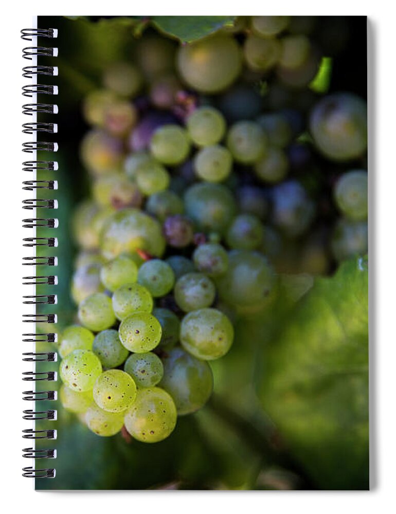 Grapes Spiral Notebook featuring the photograph The Grapes of Wine by Erin Marie Davis