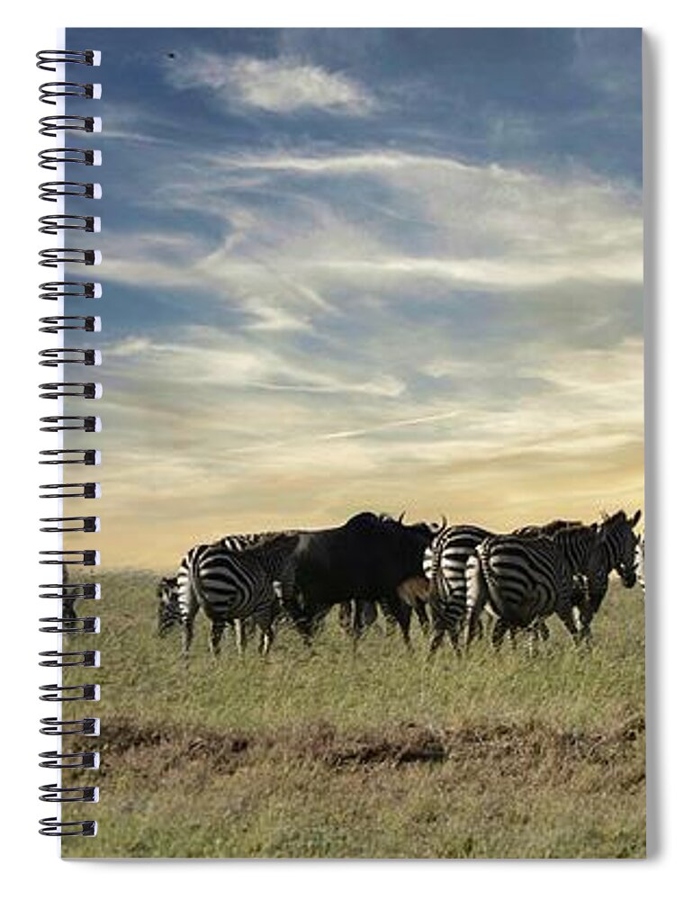 Zebra Spiral Notebook featuring the photograph The Great Migration by Carolyn Mickulas