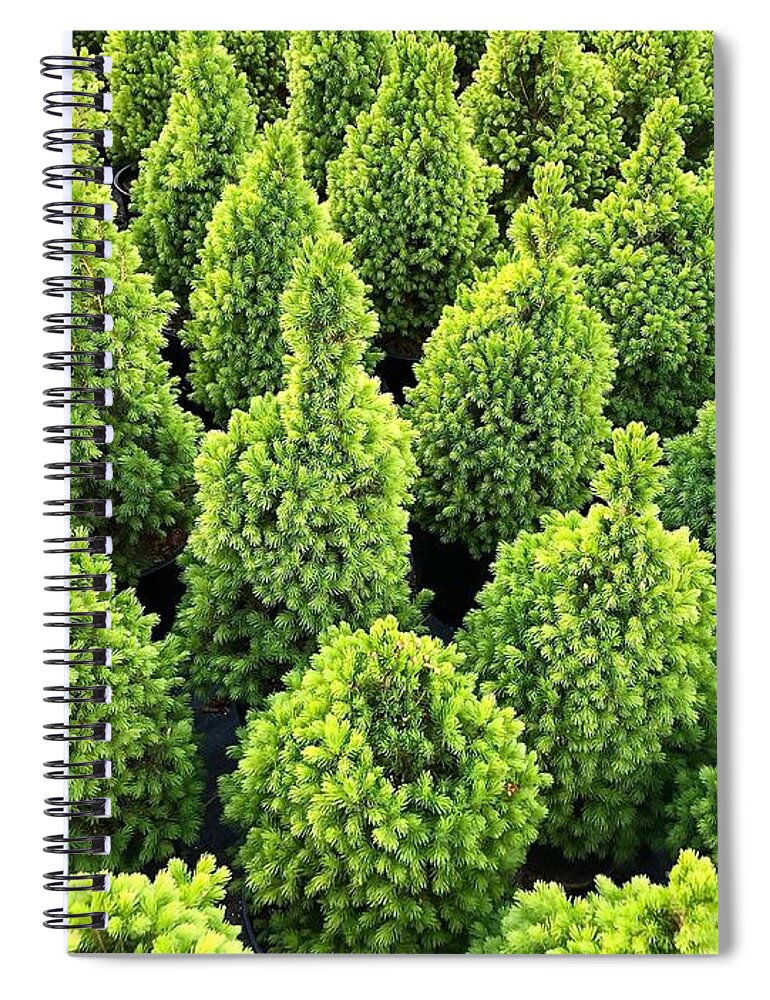 Green Spiral Notebook featuring the photograph The Green by Jim Whitley