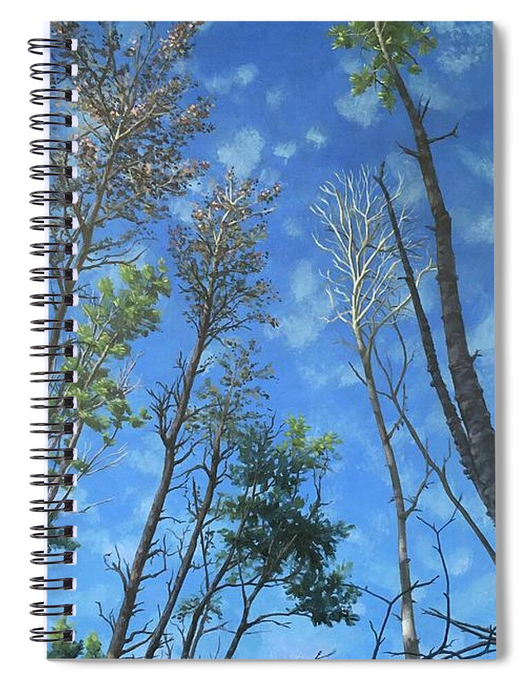Trees Spiral Notebook featuring the painting The Heights by Don Morgan
