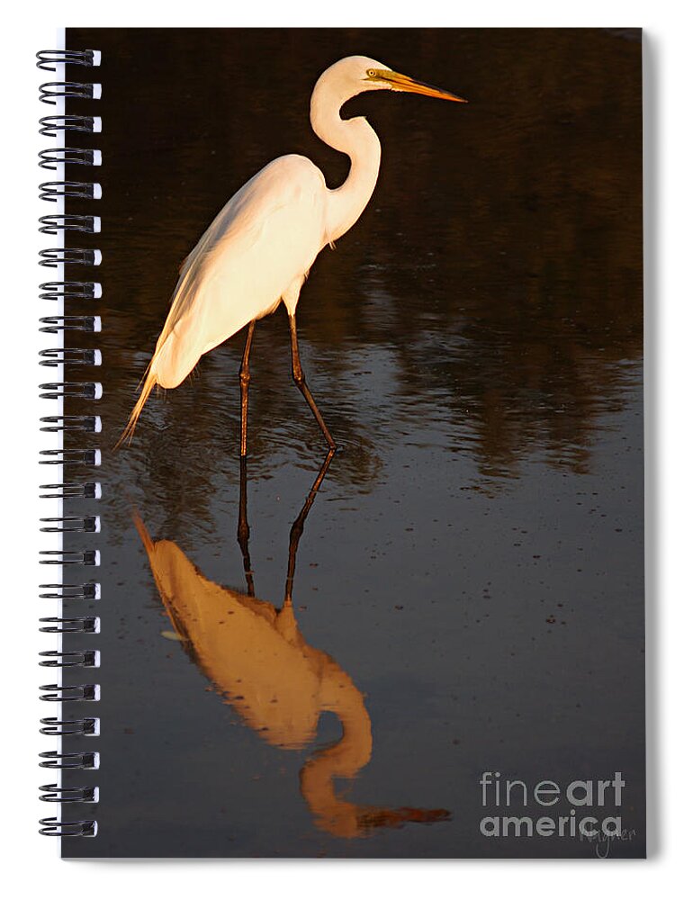 Egret Spiral Notebook featuring the photograph The Hunter by Hilda Wagner