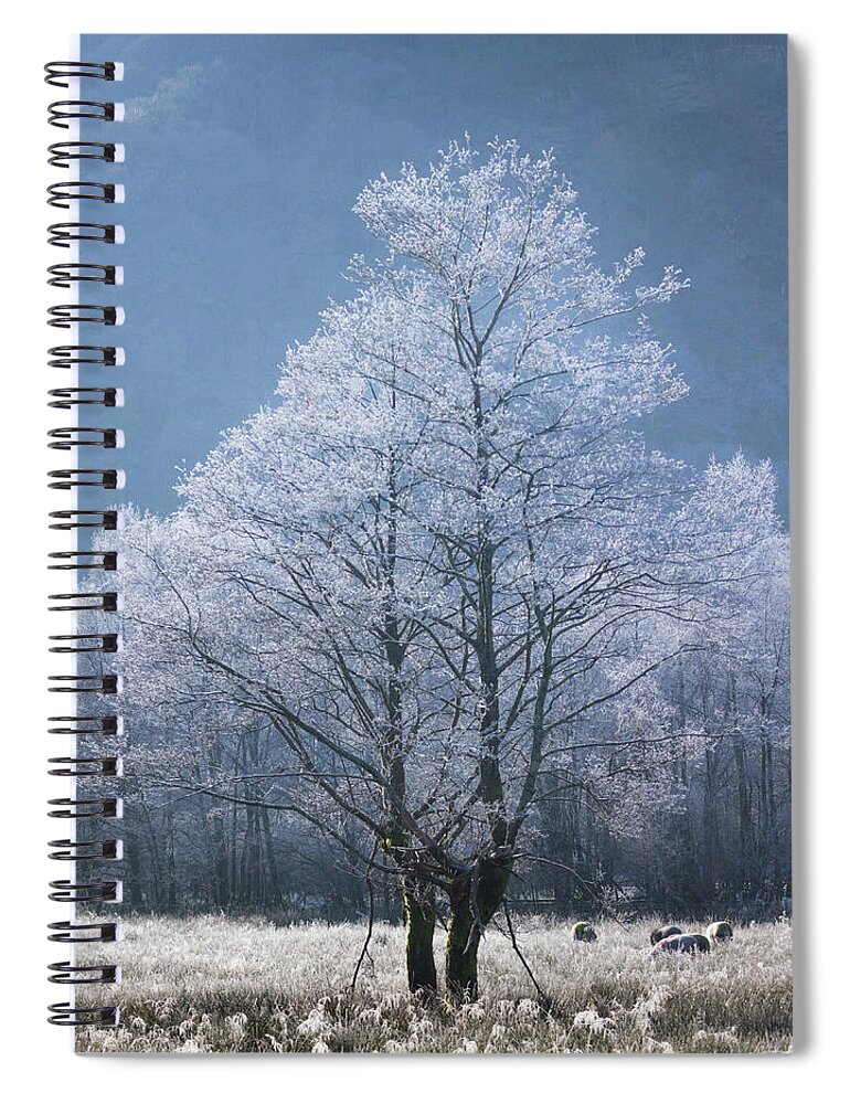  Spiral Notebook featuring the photograph The Ice Dancers - portrait by Anita Nicholson