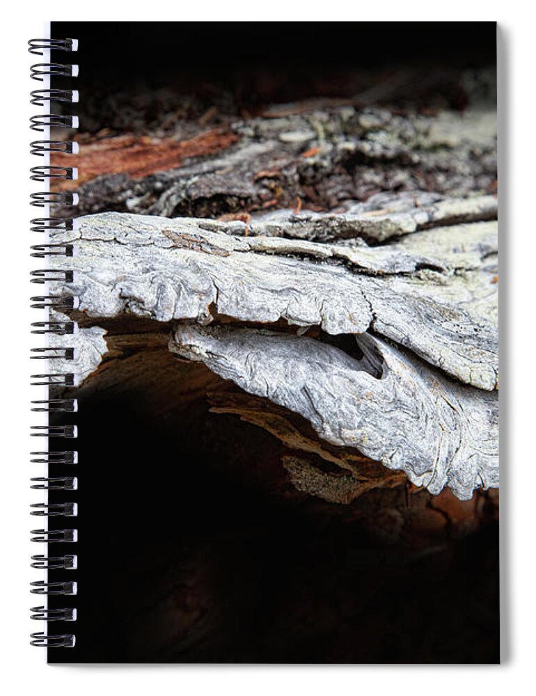 Abstracts Spiral Notebook featuring the photograph The Journey by Marilyn Cornwell