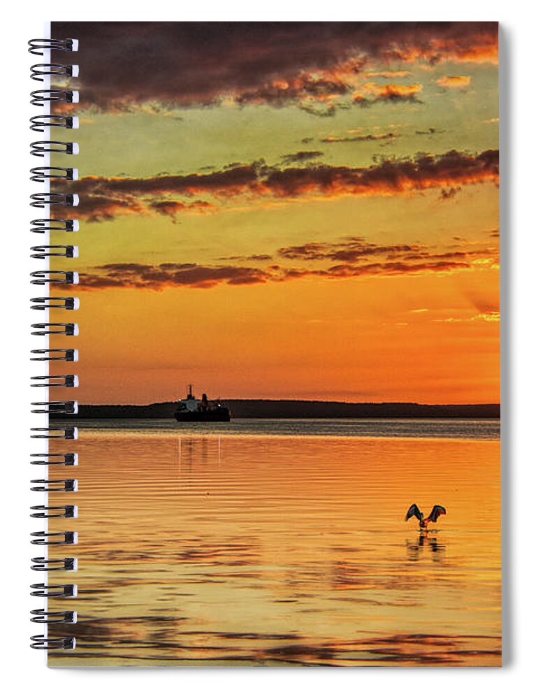 Black Spiral Notebook featuring the photograph The Last Black Pelican by Micah Offman
