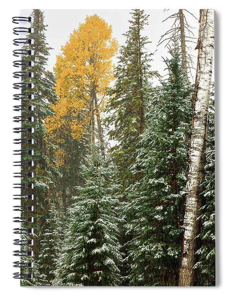 Art Spiral Notebook featuring the photograph The Last Vestige by Rick Furmanek
