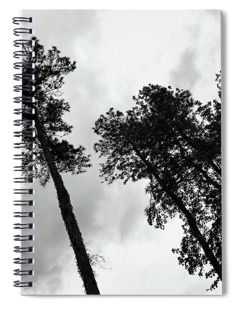 Tree Spiral Notebook featuring the photograph The Leader and His Henchmen Stare BW by Lee Darnell