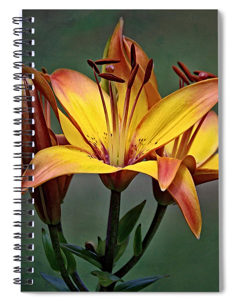 Red Spiral Notebook featuring the photograph The Lily Bunch by Gaby Ethington