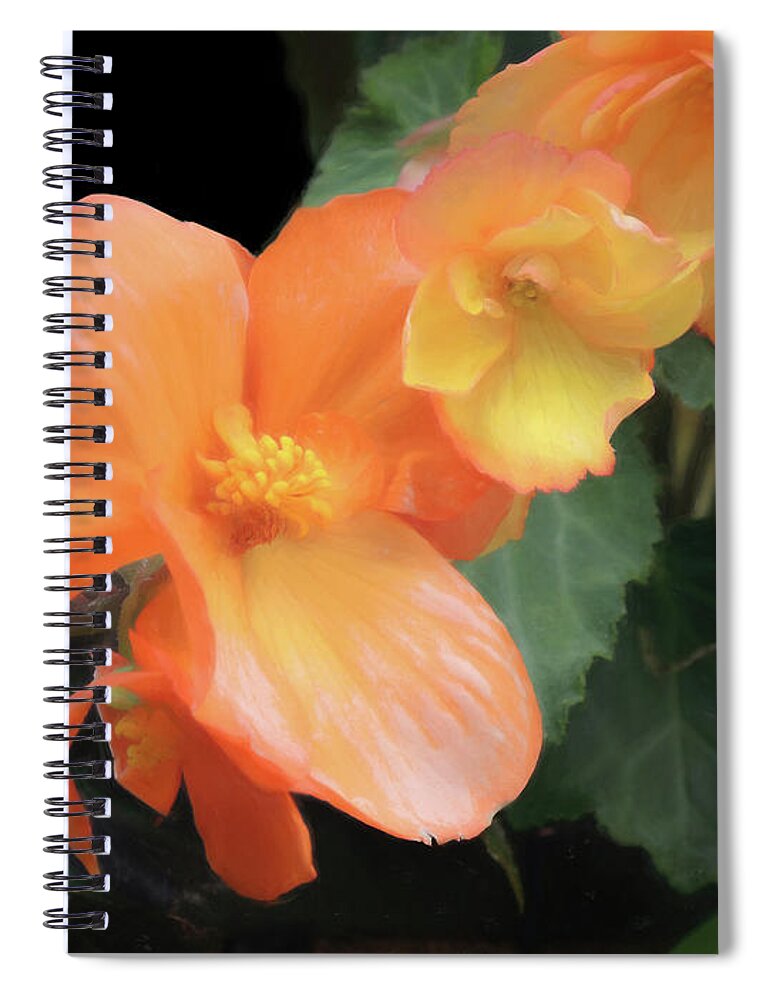 Plant Spiral Notebook featuring the mixed media The Living Room Begonia 10 by Lynda Lehmann
