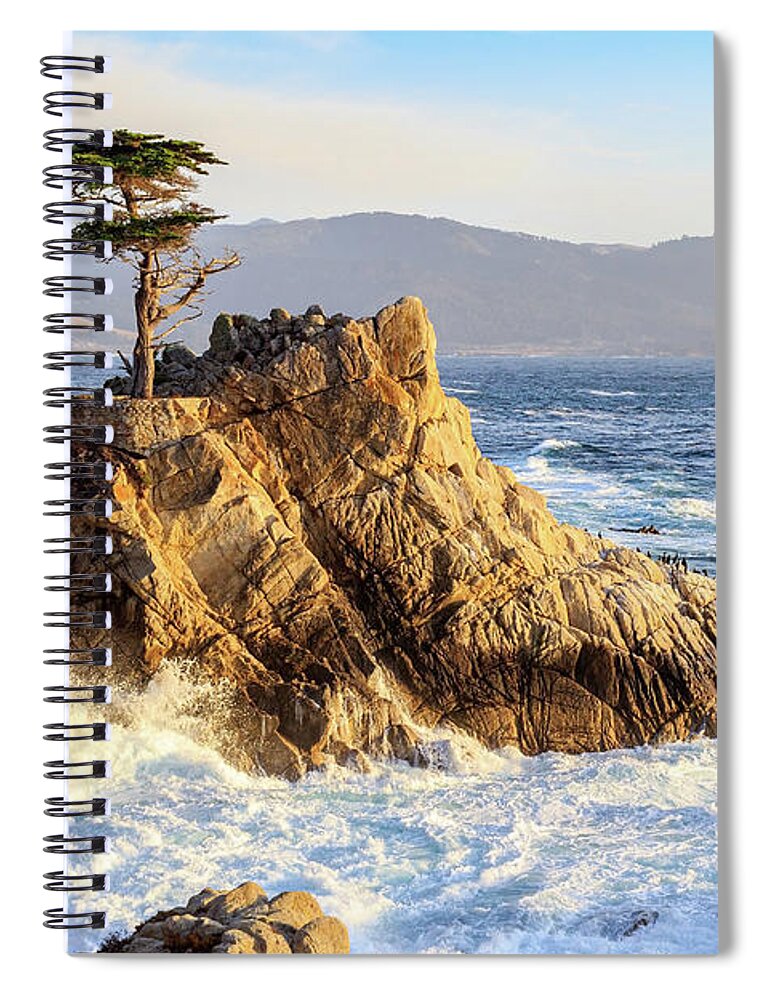 Ngc Spiral Notebook featuring the photograph The Lone Cypress by Robert Carter