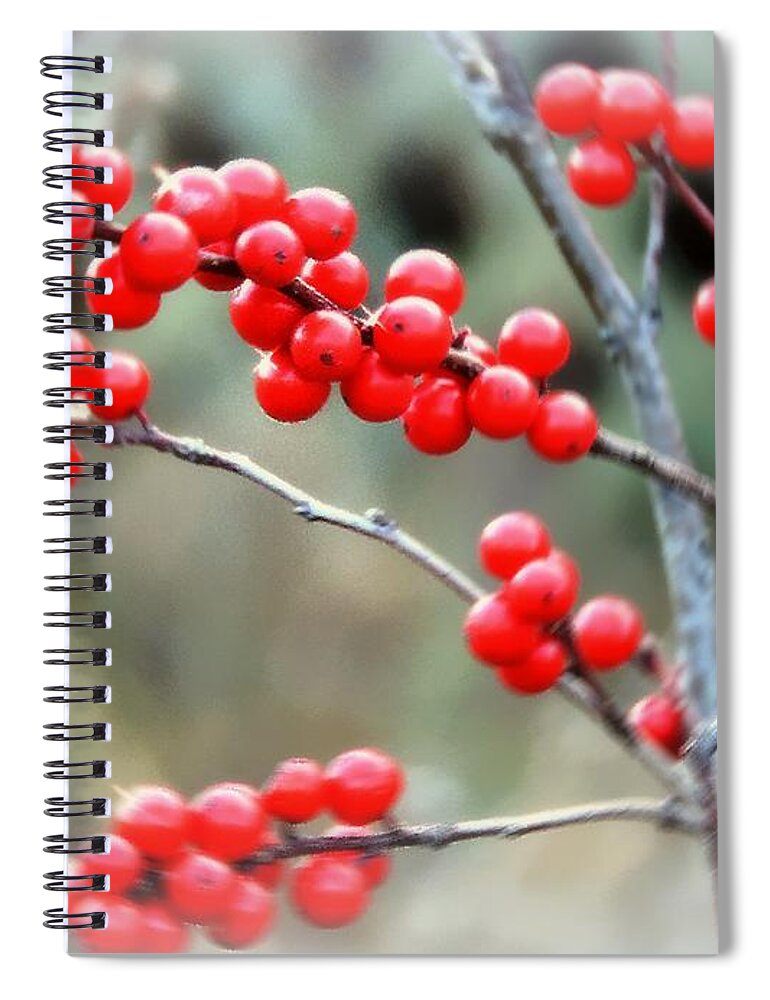 Christmas Spiral Notebook featuring the photograph The Magic Of Winterberry Days by Tami Quigley
