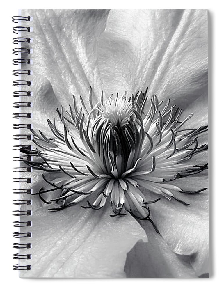 Nature Spiral Notebook featuring the photograph The Magic Within BW by Darlene Kwiatkowski