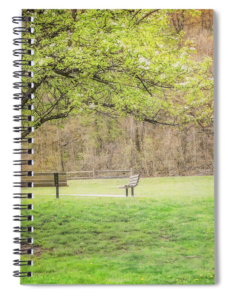 Park Spiral Notebook featuring the photograph The Meeting Place by Susan Hope Finley