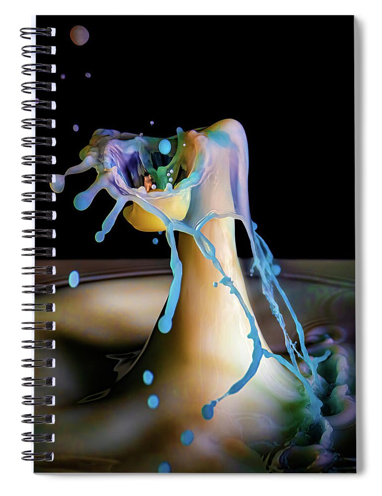 Photograph Spiral Notebook featuring the photograph The Nest by Michael McKenney