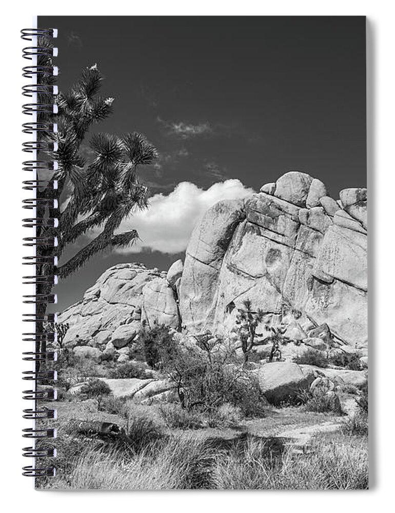  Spiral Notebook featuring the photograph The Old Woman - 2023 Black and White by Peter Tellone