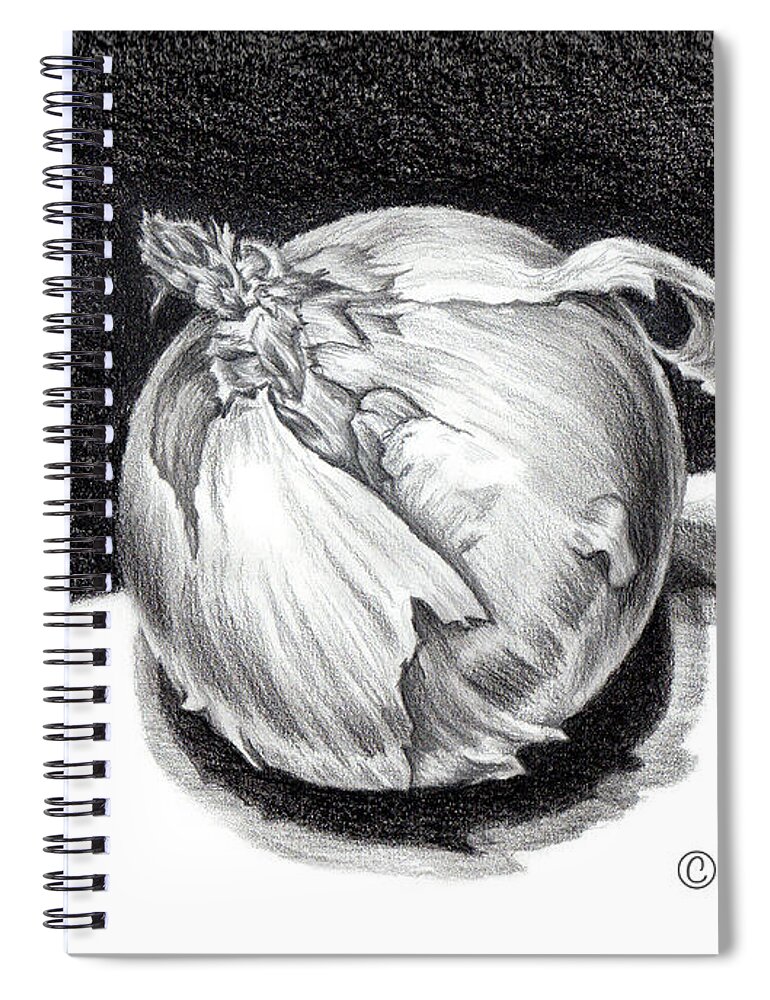 Onion Spiral Notebook featuring the drawing The Onion by Nancy Cupp
