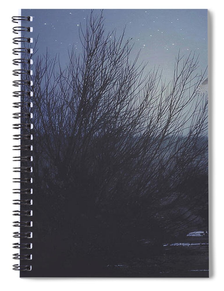 Cold Spiral Notebook featuring the photograph The Owl by Carrie Ann Grippo-Pike