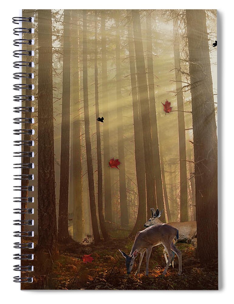 Autumn Sunset Spiral Notebook featuring the photograph The Peace Of An Autumn Sunset by Diane Schuster