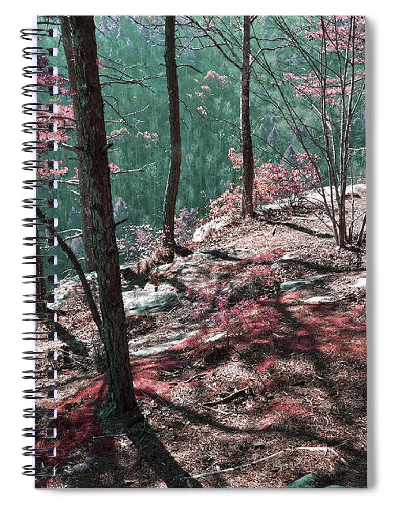 Obed Spiral Notebook featuring the photograph The Point Trail Infrared by Phil Perkins